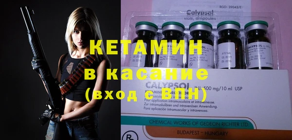 гашик Дмитров