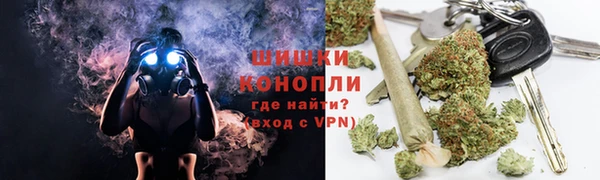 индика Навашино