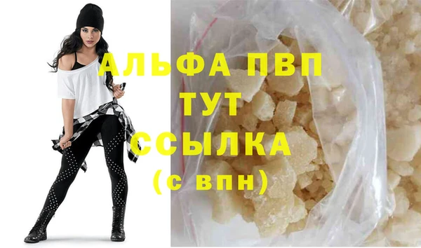 гидра Надым