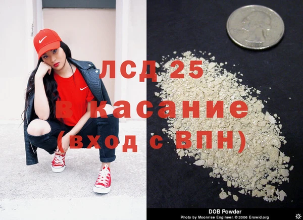 гидра Надым