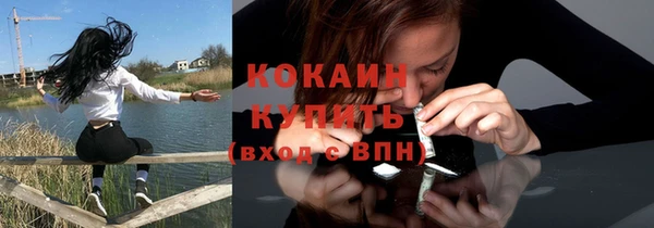 гидра Бикин