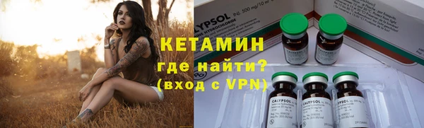 гидра Надым
