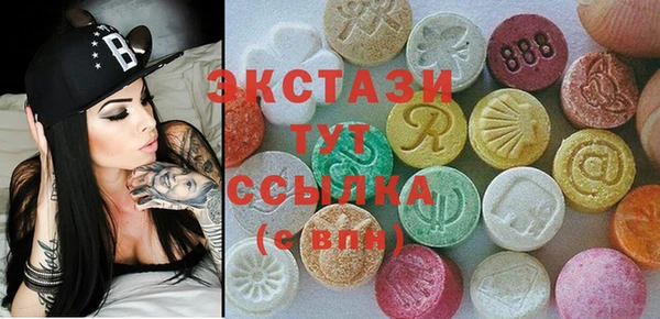 гидра Надым