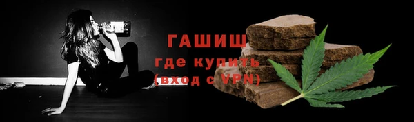 гидра Надым