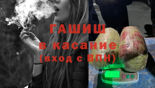 гидра Надым