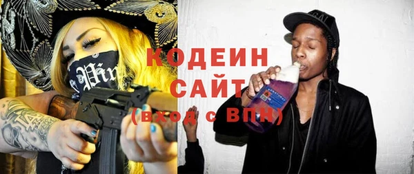 гидра Надым