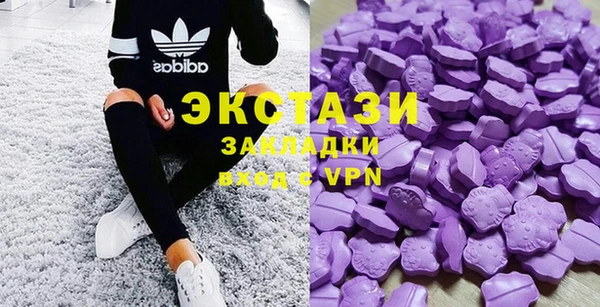 гидра Надым