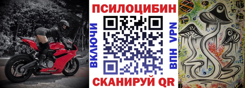 Галлюциногенные грибы GOLDEN TEACHER ОМГ ОМГ Дмитров