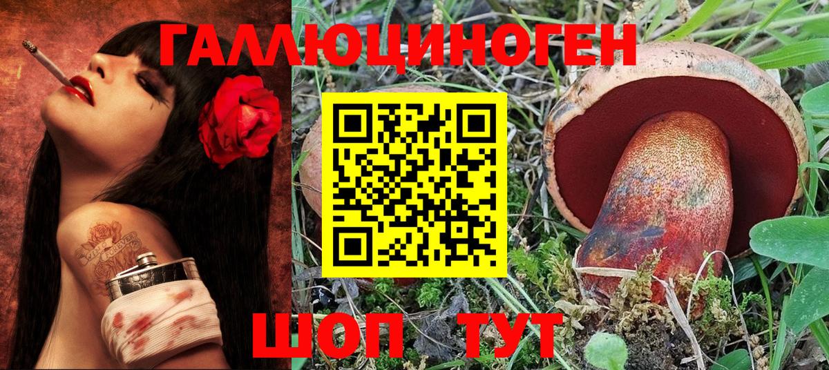 Галлюциногенные грибы Cubensis  Дмитров 
