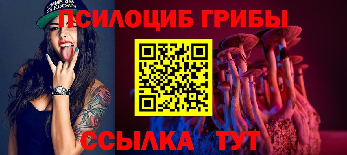 Псилоцибиновые грибы Psilocybe  Вход с VPN  Галлюциногенные грибы ЛСД  Дмитров 